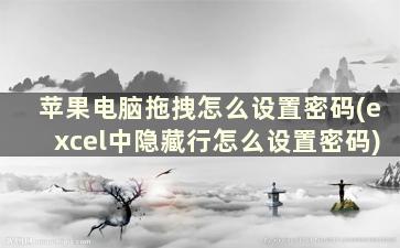 苹果电脑拖拽怎么设置密码(excel中隐藏行怎么设置密码)