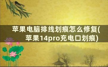 苹果电脑排线划痕怎么修复(苹果14pro充电口划痕)