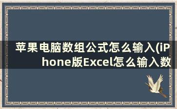 苹果电脑数组公式怎么输入(iPhone版Excel怎么输入数组)