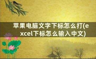 苹果电脑文字下标怎么打(excel下标怎么输入中文)