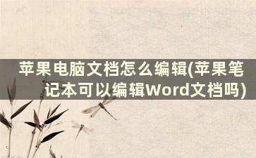 苹果电脑文档怎么编辑(苹果笔记本可以编辑Word文档吗)