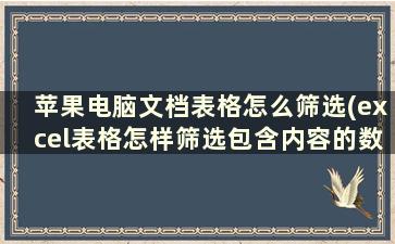 苹果电脑文档表格怎么筛选(excel表格怎样筛选包含内容的数量)