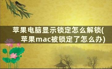 苹果电脑显示锁定怎么解锁(苹果mac被锁定了怎么办)