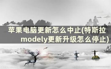 苹果电脑更新怎么中止(特斯拉modely更新升级怎么停止)