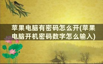 苹果电脑有密码怎么开(苹果电脑开机密码数字怎么输入)