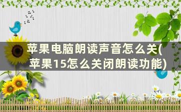 苹果电脑朗读声音怎么关(苹果15怎么关闭朗读功能)