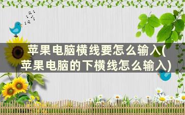 苹果电脑横线要怎么输入(苹果电脑的下横线怎么输入)