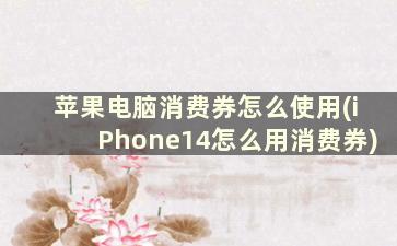 苹果电脑消费券怎么使用(iPhone14怎么用消费券)