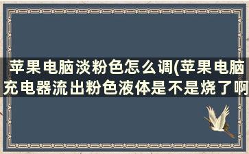 苹果电脑淡粉色怎么调(苹果电脑充电器流出粉色液体是不是烧了啊)