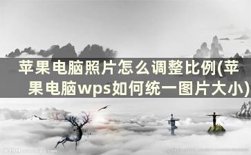 苹果电脑照片怎么调整比例(苹果电脑wps如何统一图片大小)