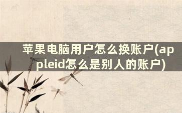 苹果电脑用户怎么换账户(appleid怎么是别人的账户)