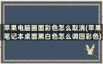 苹果电脑画面彩色怎么取消(苹果笔记本桌面黑白色怎么调回彩色)