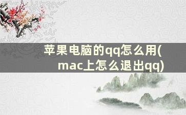 苹果电脑的qq怎么用(mac上怎么退出qq)