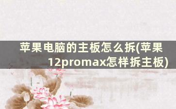 苹果电脑的主板怎么拆(苹果12promax怎样拆主板)