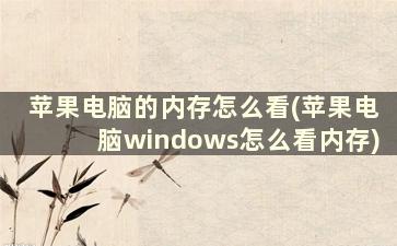 苹果电脑的内存怎么看(苹果电脑windows怎么看内存)