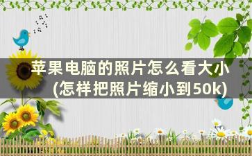 苹果电脑的照片怎么看大小(怎样把照片缩小到50k)