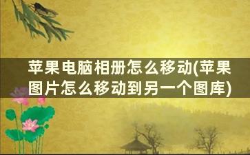 苹果电脑相册怎么移动(苹果图片怎么移动到另一个图库)