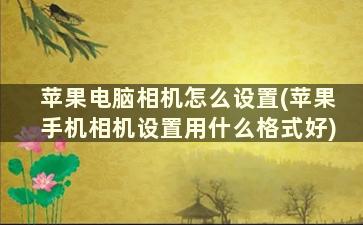 苹果电脑相机怎么设置(苹果手机相机设置用什么格式好)