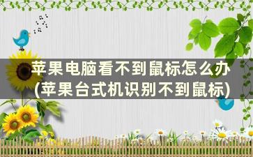 苹果电脑看不到鼠标怎么办(苹果台式机识别不到鼠标)