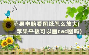 苹果电脑看图纸怎么放大(苹果平板可以画cad图吗)