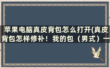 苹果电脑真皮背包怎么打开(真皮背包怎样修补！我的包（男式）一端头上被)