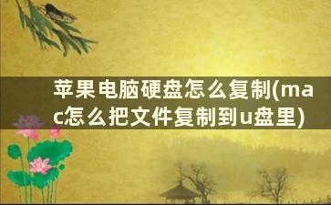 苹果电脑硬盘怎么复制(mac怎么把文件复制到u盘里)