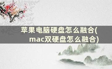 苹果电脑硬盘怎么融合(mac双硬盘怎么融合)