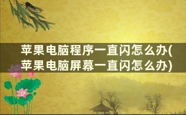 苹果电脑程序一直闪怎么办(苹果电脑屏幕一直闪怎么办)