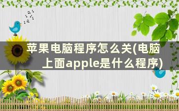 苹果电脑程序怎么关(电脑上面apple是什么程序)