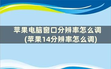 苹果电脑窗口分辨率怎么调(苹果14分辨率怎么调)