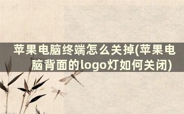 苹果电脑终端怎么关掉(苹果电脑背面的logo灯如何关闭)