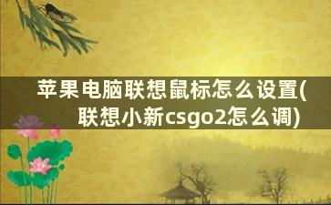 苹果电脑联想鼠标怎么设置(联想小新csgo2怎么调)