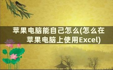 苹果电脑能自己怎么(怎么在苹果电脑上使用Excel)