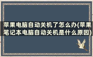 苹果电脑自动关机了怎么办(苹果笔记本电脑自动关机是什么原因)