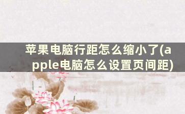 苹果电脑行距怎么缩小了(apple电脑怎么设置页间距)