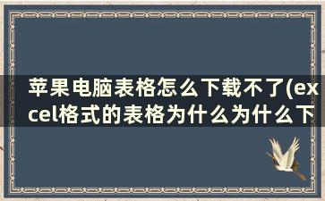 苹果电脑表格怎么下载不了(excel格式的表格为什么为什么下载不了)