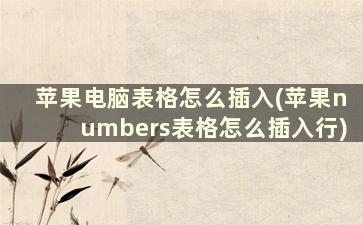 苹果电脑表格怎么插入(苹果numbers表格怎么插入行)