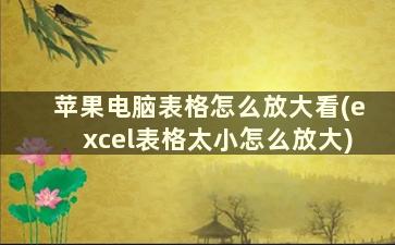 苹果电脑表格怎么放大看(excel表格太小怎么放大)