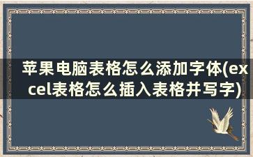 苹果电脑表格怎么添加字体(excel表格怎么插入表格并写字)