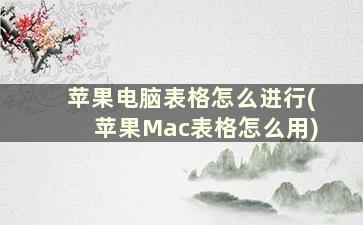 苹果电脑表格怎么进行(苹果Mac表格怎么用)