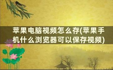 苹果电脑视频怎么存(苹果手机什么浏览器可以保存视频)