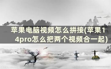 苹果电脑视频怎么拼接(苹果14pro怎么把两个视频合一起)