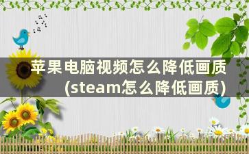 苹果电脑视频怎么降低画质(steam怎么降低画质)