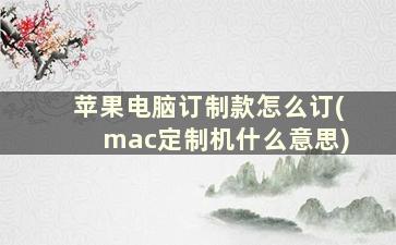 苹果电脑订制款怎么订(mac定制机什么意思)