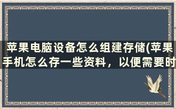 苹果电脑设备怎么组建存储(苹果手机怎么存一些资料，以便需要时随时打开呢)