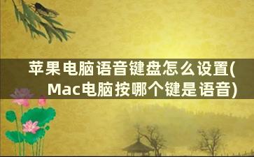 苹果电脑语音键盘怎么设置(Mac电脑按哪个键是语音)