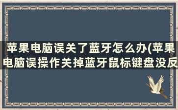 苹果电脑误关了蓝牙怎么办(苹果电脑误操作关掉蓝牙鼠标键盘没反应)