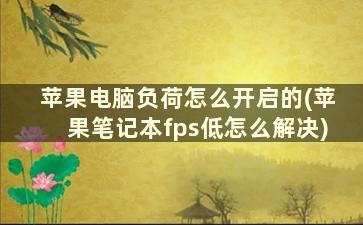 苹果电脑负荷怎么开启的(苹果笔记本fps低怎么解决)