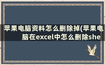 苹果电脑资料怎么删除掉(苹果电脑在excel中怎么删除sheet)