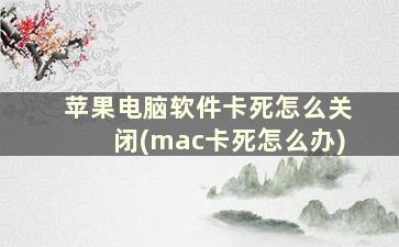 苹果电脑软件卡死怎么关闭(mac卡死怎么办)